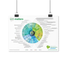 Load image into Gallery viewer, Poster - ANH Matters infographic