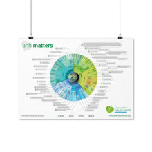 Load image into Gallery viewer, Poster - ANH Matters infographic