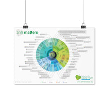 Load image into Gallery viewer, Poster - ANH Matters infographic
