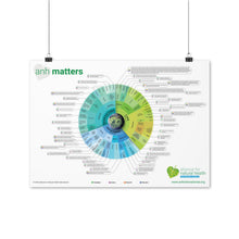 Load image into Gallery viewer, Poster - ANH Matters infographic
